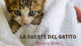 La suerte del gatito