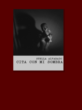 Cita con mi sombra